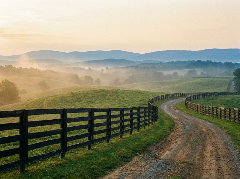 Kentucky — Land & Light